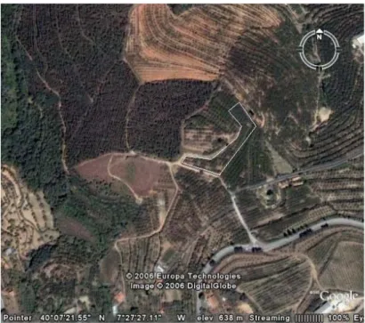 Fig. 2.6 – Fotografia aérea do local do ensaio da Quinta de S. Macário. 