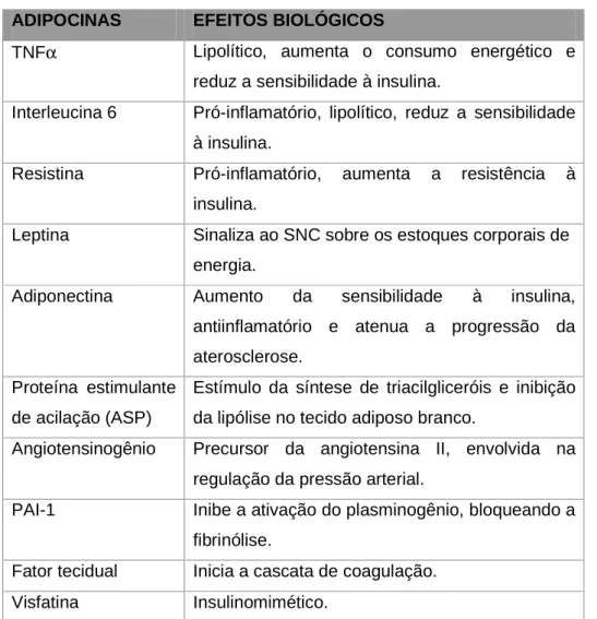 TABELA  2.  IMPORTANTES  ADIPOCINAS  SECRETADAS  PELO  TECIDO  ADIPOSO  BRANCO  (Modificado de: FONSECA-ALANIZ et al., 2006)