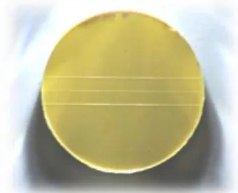 Figura 14 - Exemplar de espécime em silicone   Imprint TM  4 Penta TM  Super Quick Heavy (3M ESPE)