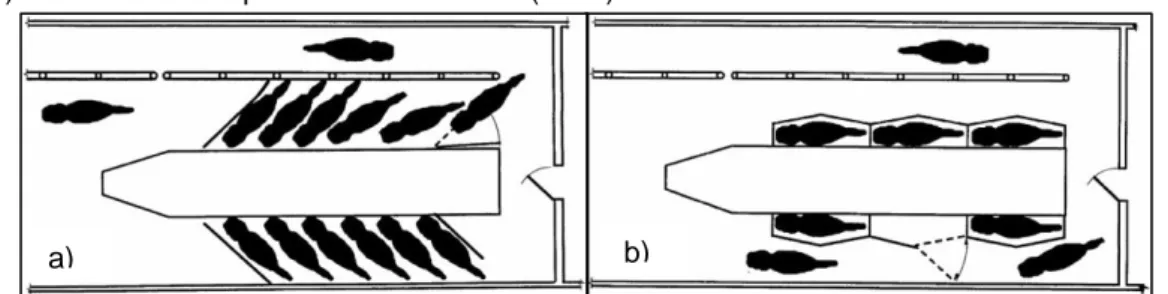 Figura 3 - Representação de salas de ordenha a) em espinha de peixe com saída única e  b) em tandem
