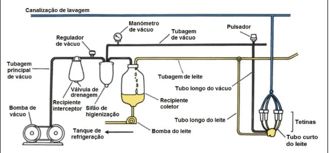 Figura 5 - Esquema de uma sala  de  ordenha  em  carrossel  (Reinemann, 2007). 