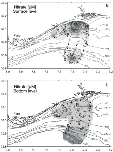 Figure 5. Distribution of nitrate concentrations (µM) at: (a) surface and (b) bottom.