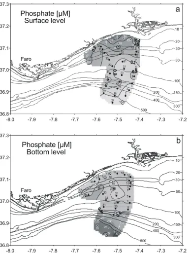 Figura 6. Distribución de las concentraciones de fosfato ( µ M) en: (a) superficie y (b) el fondo.