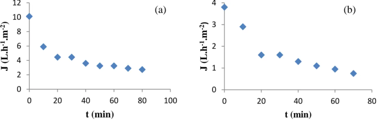 Figura 1 - Curva do fluxo permeado (J) para os processos de microfiltração (a) e nanofiltração  (b), nas condições de 3 bar e 20 ± 2 °C e 5 bar e 20 ± 2 °C, respectivamente