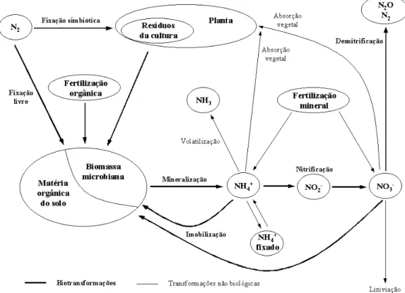 Figura 2.1 – Transformações entre reservatórios, no ciclo do azoto, no sistema solo-planta-atmosfera  (adaptado de Nicolardot et al., 1997)