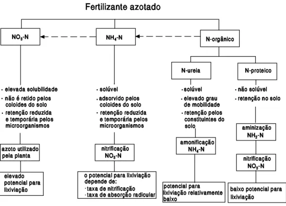 Figura 2.2 -  Potencial para lixiviação do azoto relacionado com o tipo de fertilizante (adaptado de  Pereira e Santos, 2012)