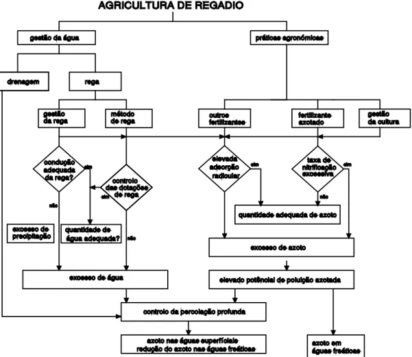 Figura 2.3 - A poluição azotada influenciada pela gestão da água (adaptado de Pereira e Santos,  1991)