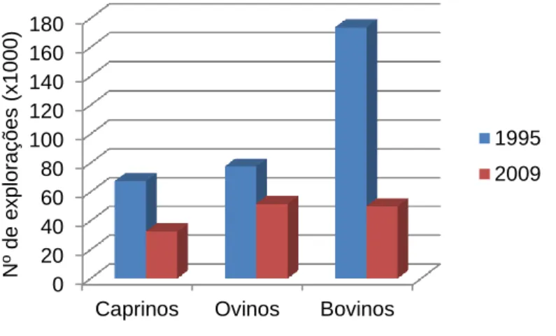 Gráfico 4. Distribuição do efectivo ruminante em Portugal (2010) 