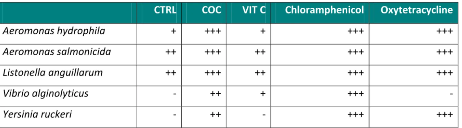Table IV. Inhibition of bacterial growth by 100 μl of epidermal mucus of sole.  