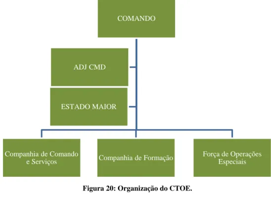 Figura 20: Organização do CTOE. 