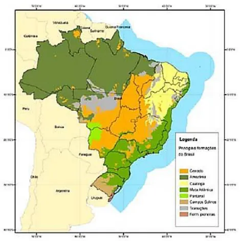Figura 2 – Distribuição geográfica dos biomas brasileiros. Fonte: MINISTÉRIO DO MEIO  AMBIENTE, 2010