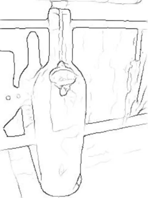 Figure 1.1: Example of the ability of human vision to detect and recognise objects in a complex scene given only few non-connected edge fragments.
