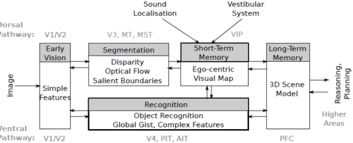 Figure 1.8: Overview of a biologically-inspired active vision system by [66].