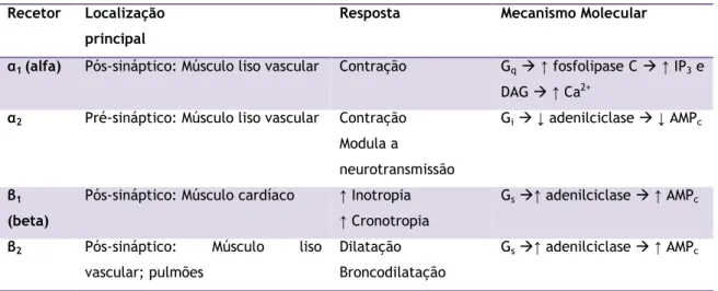 Tabela 2: Recetores adrenérgicos envolvidos na regulação do tónus vascular. Adaptada. 11    Recetor  Localização 
