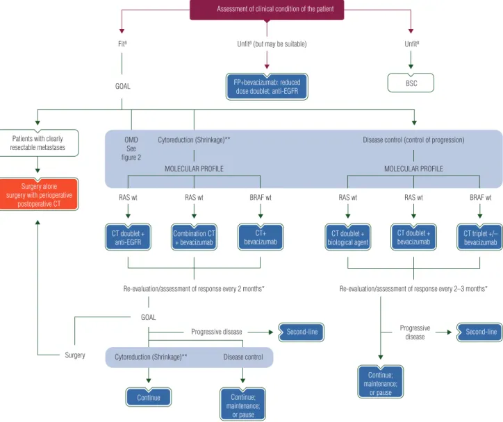 Figure 4. Zurich treatment algorithm. BSC, best supportive care; CT, chemotherapy; EGFR, epidermal growth factor receptor; FP, ﬂuoropyrmidine; mt, mutant, NED, no evidence of disease; OMD, oligometastatic disease; wt, wild-type