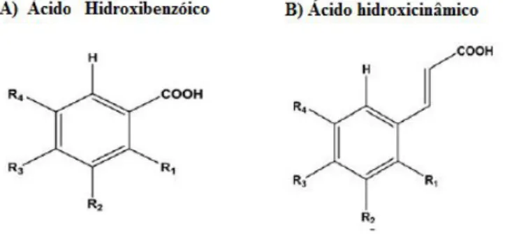 Figura 7 - Estrutura dos ácidos fenólicos importantes de ocorrência natural (Saxena et al., 2012)