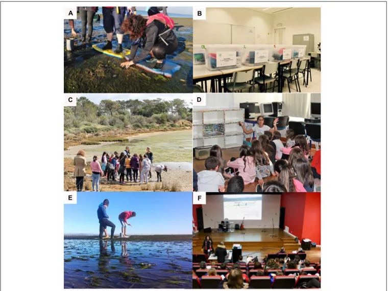 FIGURE 2 | REASE activities for formal education includes (A) continuing training for K-12 teachers on ecosystem services (ES); (B) an incubator of innovative projects on ES, such as mapping the blue carbon in the Algarve that includes the delivery of a fi