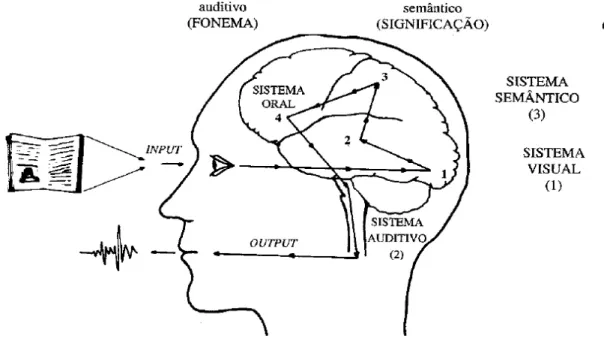 Figura 5: Processo de leitura (Fonseca, 2004, p. 223)  