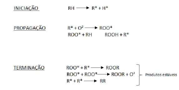 Figura 2: Mecanismo da oxidação lipídica (Ramalho &amp; Jorge, 2006) 