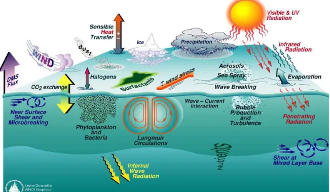 Figure 1.1 – Schematic representation of multiple processes occurring in the ocean surface, results  of  its  interactions  with  adjacent  deeper  layer  and  atmosphere