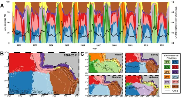 Figure  3.4  -  Spatial  and  temporal  dynamics  of  the  12  environmental  provinces  (EPs,  see  colours)  delineated  off  the  South  West  Iberian  Peninsula,  during  the  period  February  2002  -  December 2011