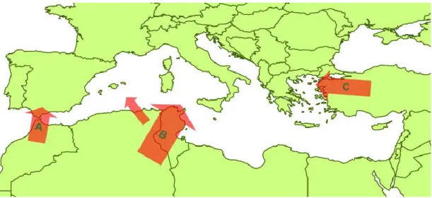 Tabela  2  -  Resumo  das  rotas  de  introdução  do  Vírus  da  Língua  Azul  nas  incursões  pela  Europa entre 1998 e 2007  