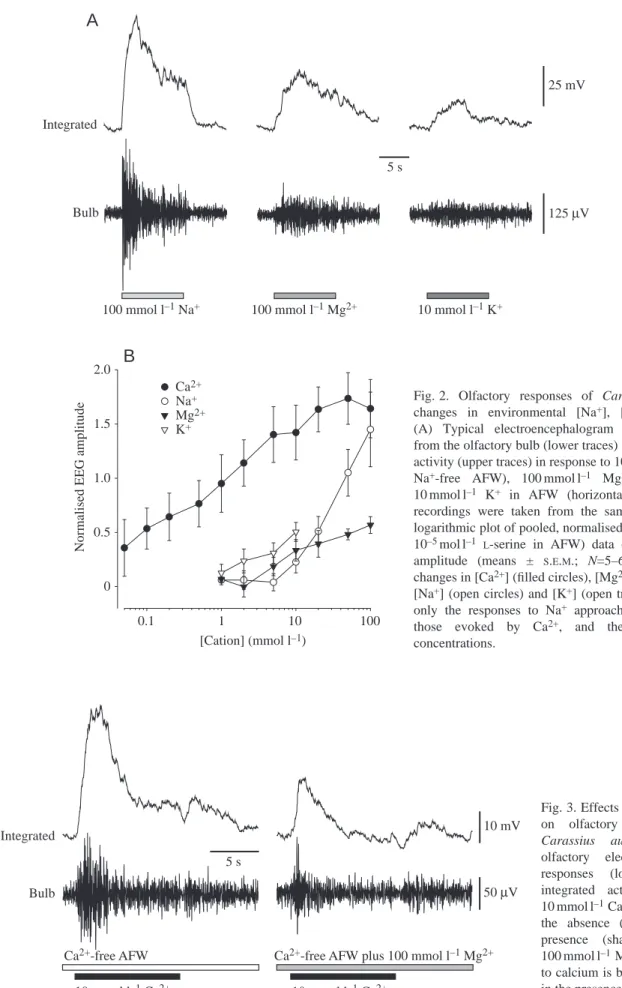 Fig. 2. Olfactory responses of Carassius auratus to changes in environmental [Na + ], [Mg 2+ ] and [K + ].