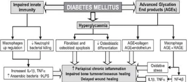 Figura 1. Mecanismo Biológico da diabetes mellitus (DM) e a sua influência na cavidade oral