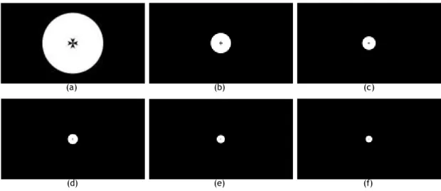 Figura 3.5 – Estímulos visuais  gerados para as vergências de a) 0.33 D, b) 1.00 D, c) 1.50 D, d) 2.00 D, e)  2.50  D e f) 3.00 D