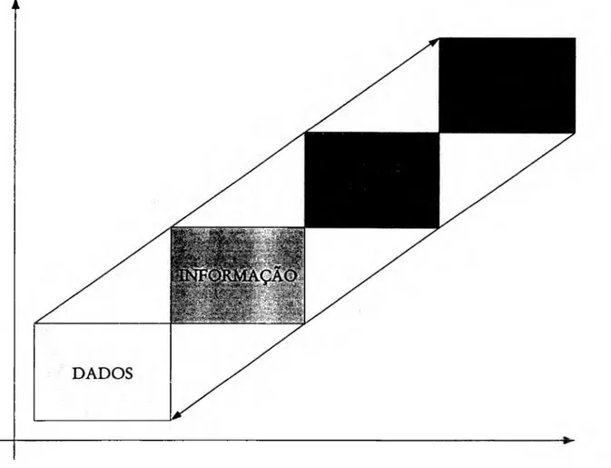 Figura 06 -  Modelo de Agregação de Valor224  A