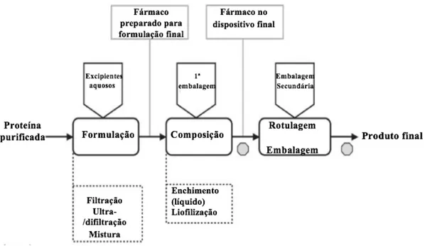 Figura 6. Fase final do processo de fabrico de um biofármaco 