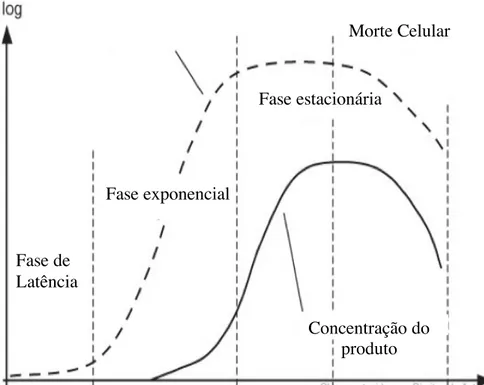 Figura 11:  Gráfico do ciclo de vida das células na fermentação 