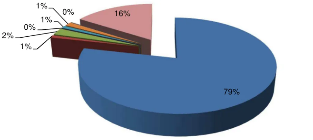 Gráfico nº 13- Distribuição dos inquiridos com auto avaliação dos sapatos      no total de dias da semana