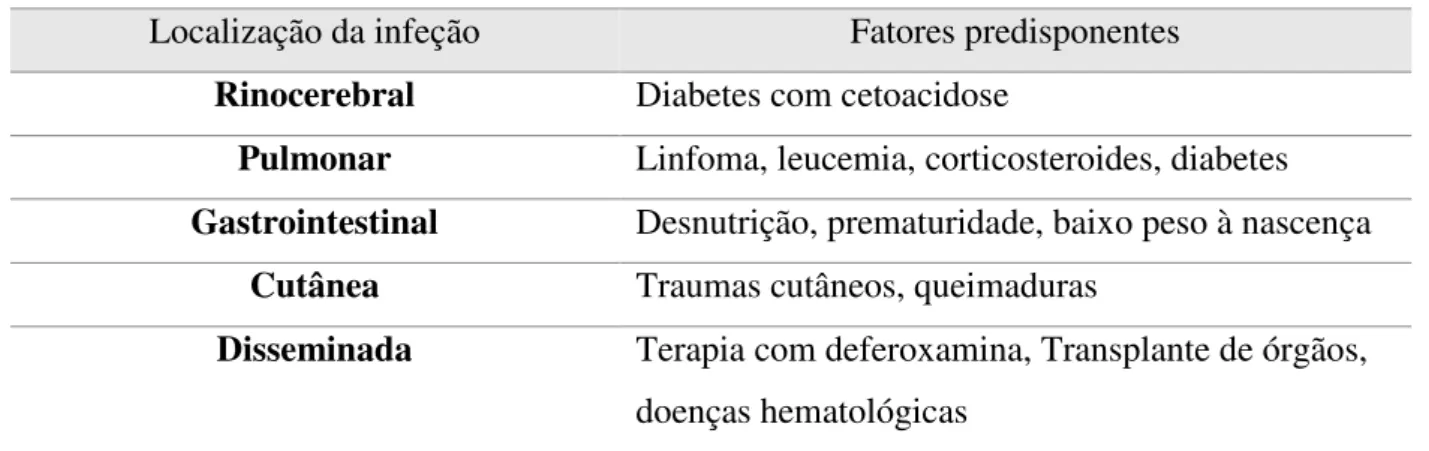 Tabela 7:Localização da infeção e fatores predisponentes (Adaptado de  Zigomicose, Severo, Guazzelli, 