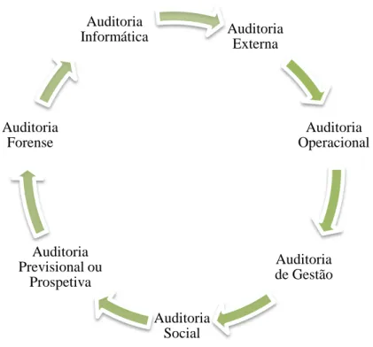 Figura 3  –  Tipos de Auditoria 