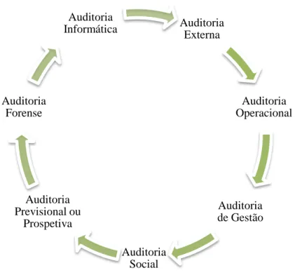 Figura 3  –  Tipos de Auditoria 