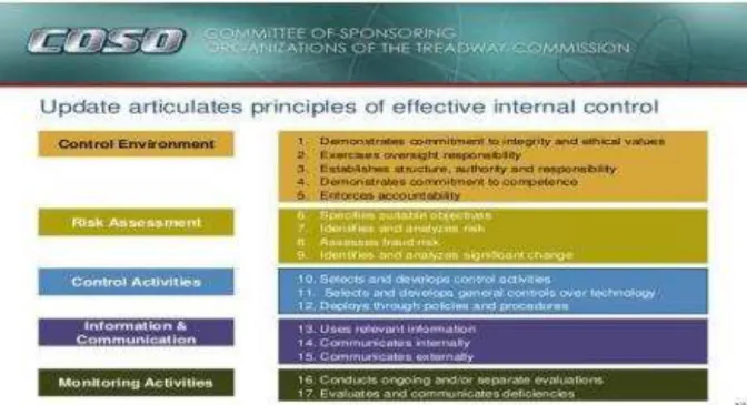 Figura 10  –  COSO  –  Framework 2013 