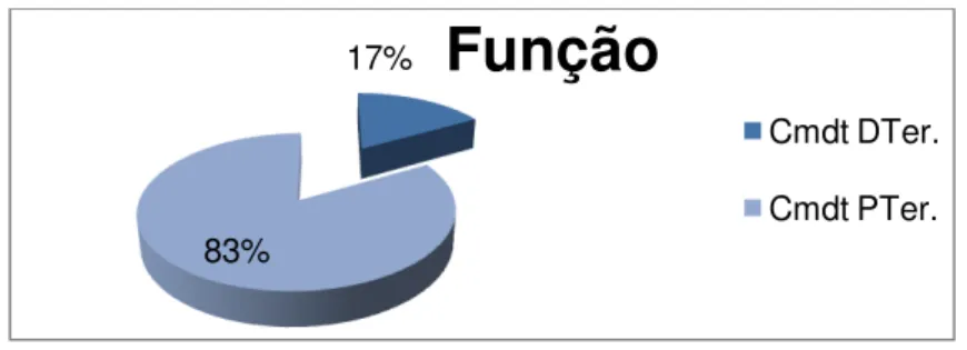 Gráfico 4.1: Função dos inquiridos. 