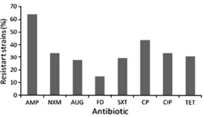 Fig. 2 Susceptibility of the 69 clinical E. coli isolates to bacteriophage T1, T4, and phiX174