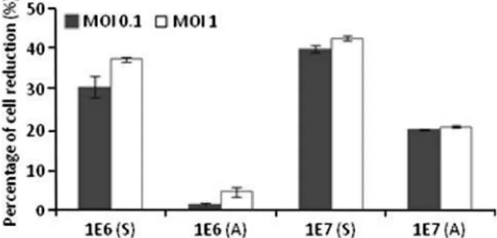 Fig. 4 Percentage of cell reduction after phage infection under dynamic conditions of E