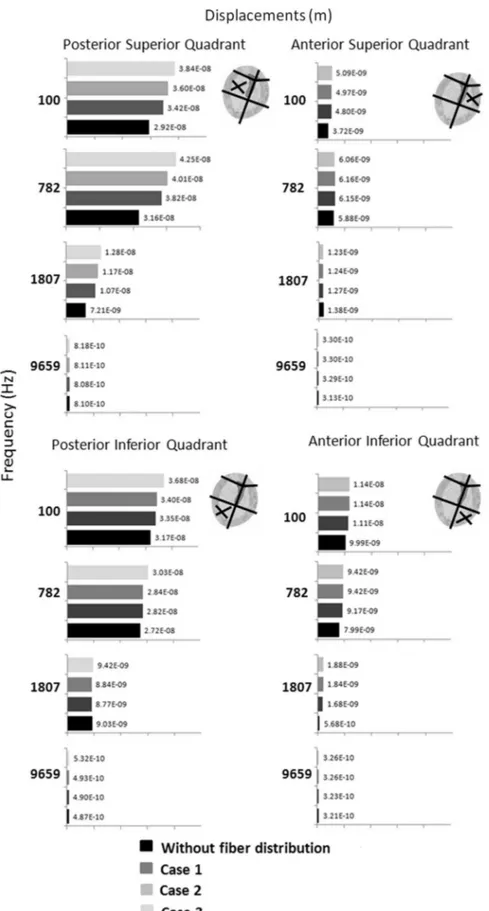 Fig. 6. Displacements of eardrum quadrants, for different frequencies, when 70 dB SPL is applied in the eardrum.