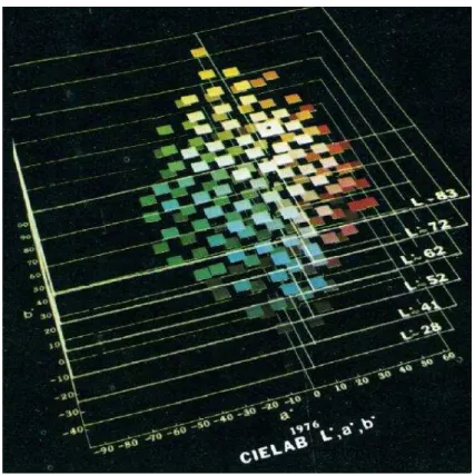 Figure 4  –  CIE scale color measurements showing (L*, a* and b*) color parameters (Inc., 2012)