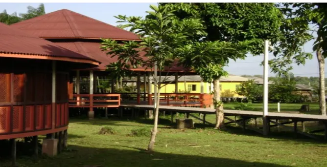 Figura 6. Área externa da Escola Bosque. 