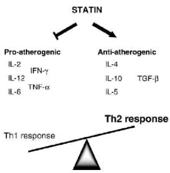 Figura 9. Efeito das estatinas a nível da regulação dos linfócitos Th1 e Th2. 