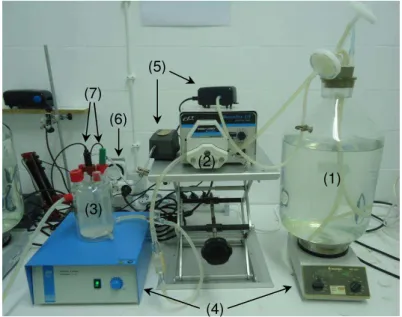 Figura 2.6 – Instalação de SBR. 