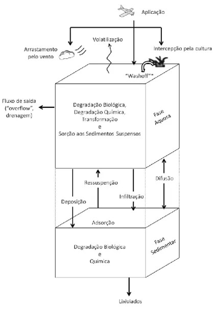 Figura 7 - Diagrama esquemático dos processos de transporte e de degradação considerados  no modelo RICEWQ (adaptado de Williams et al., 2011) 