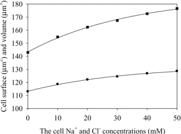 Figure 3.  The saturated values of the cell surface area (circles) and volume (squares) versus the initial  intracellular Na +  and Cl –  concentrations.