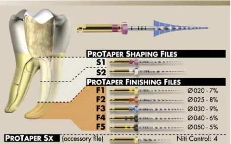 Figura 4 - Sistema ProTaper ®  Universal. 