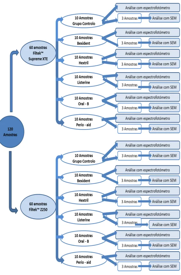 Figura 10  –  Esquema representativo dos métodos utilizados 