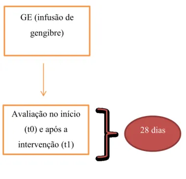 Figura 4: Desenho Experimental 
